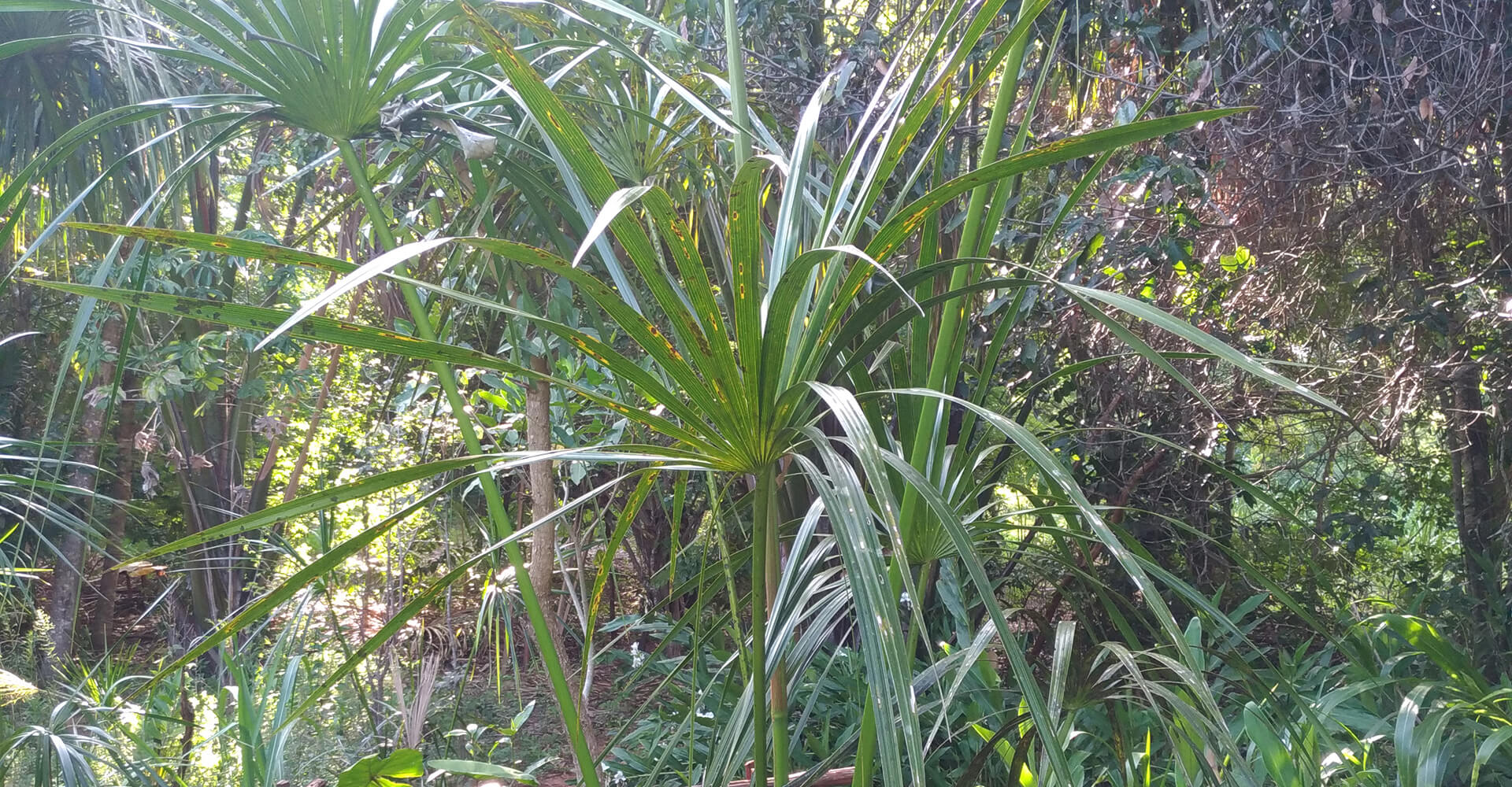 Medio Peruaçu